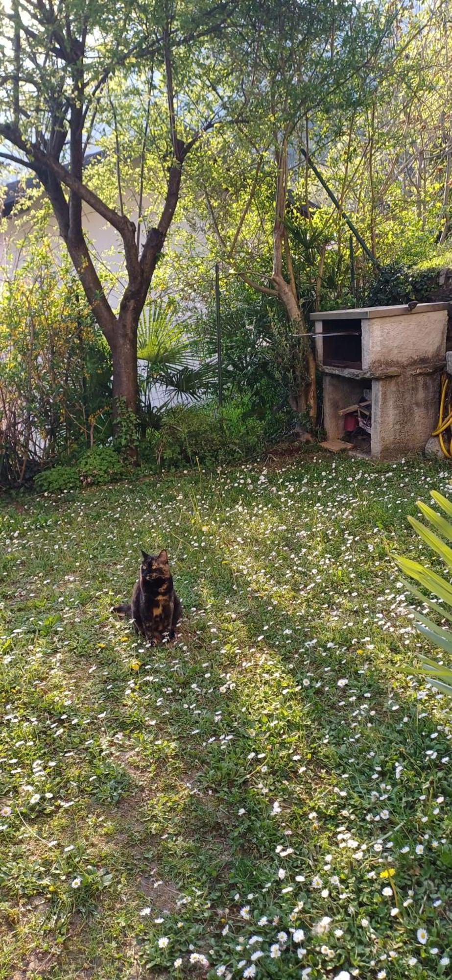 Casa Vista Lago E Giardino Porlezza Ngoại thất bức ảnh